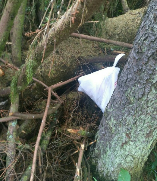 IMG_20200705_202819.jpg (388.5 КБ) 12900 просмотров IMG_20200705_202819.jpg